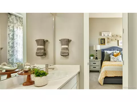 3810 Freestone Pt, Castle Rock, CO 80108 photo 9