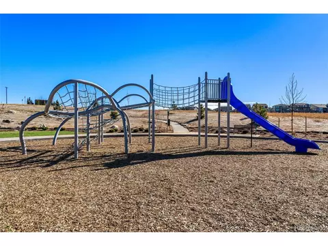 3810 Freestone Pt, Castle Rock, CO 80108 photo 28
