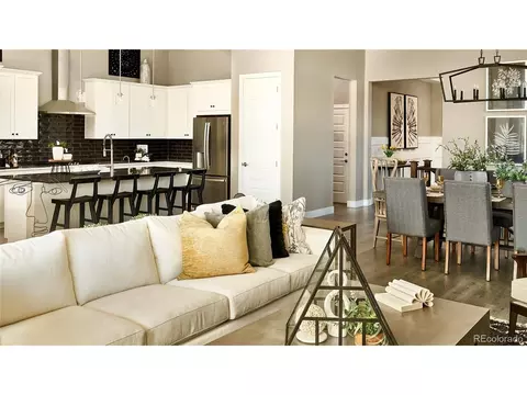 3810 Freestone Pt, Castle Rock, CO 80108 photo 13