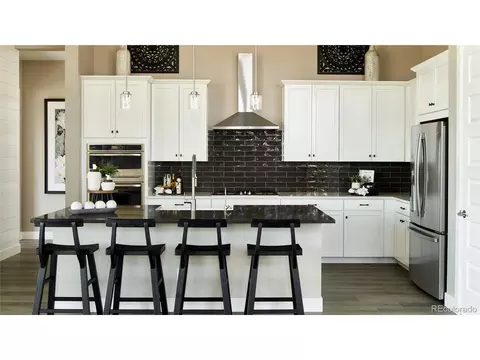 3810 Freestone Pt, Castle Rock, CO 80108 photo 11