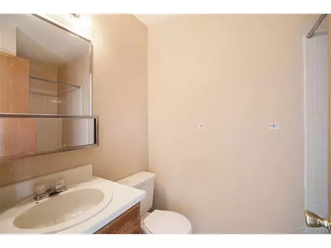4530 Nepal St, Denver, CO 80249 photo 21