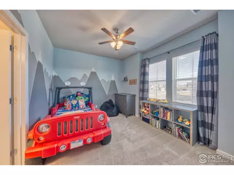 6884 E 133rd Pl, Thornton, CO 80602 photo 15