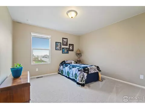 314 Jay Ave, Severance, CO 80550 photo 25