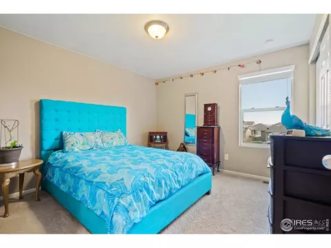 314 Jay Ave, Severance, CO 80550 photo 26