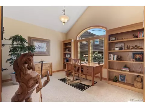 16223 River Haven Way, Morrison, CO 80465 photo 14