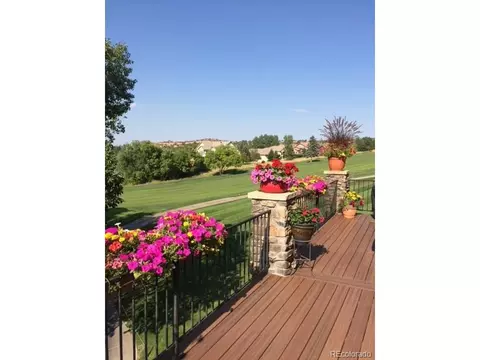 16223 River Haven Way, Morrison, CO 80465 photo 34
