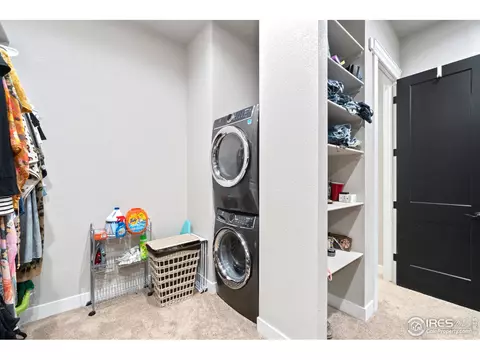 1907 E Seadrift Dr, Windsor, CO 80550 photo 22