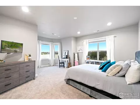 1907 E Seadrift Dr, Windsor, CO 80550 photo 26