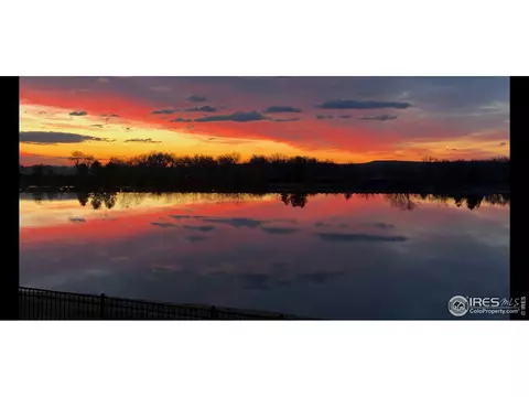 1907 E Seadrift Dr, Windsor, CO 80550 photo 37