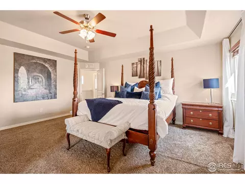 5238 Hialeah Dr, Windsor, CO 80550 photo 24