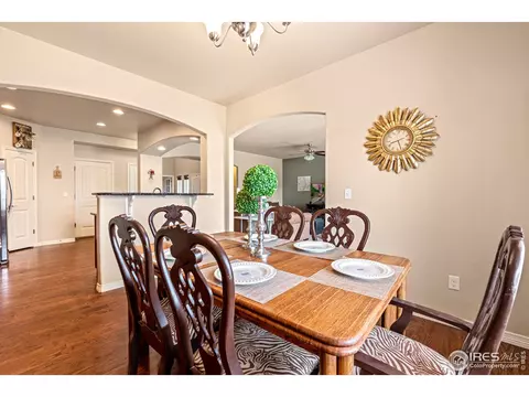 5238 Hialeah Dr, Windsor, CO 80550 photo 16