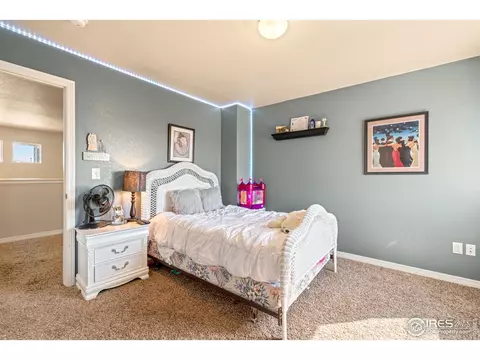 5238 Hialeah Dr, Windsor, CO 80550 photo 32