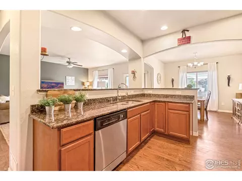5238 Hialeah Dr, Windsor, CO 80550 photo 18