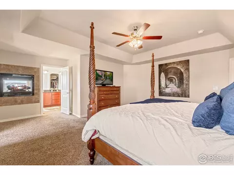 5238 Hialeah Dr, Windsor, CO 80550 photo 25