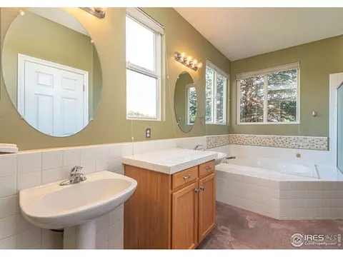 206 Pelican Cv, Windsor, CO 80550 photo 18