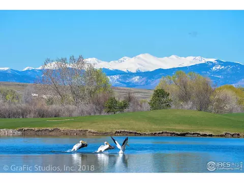206 Pelican Cv, Windsor, CO 80550 photo 38