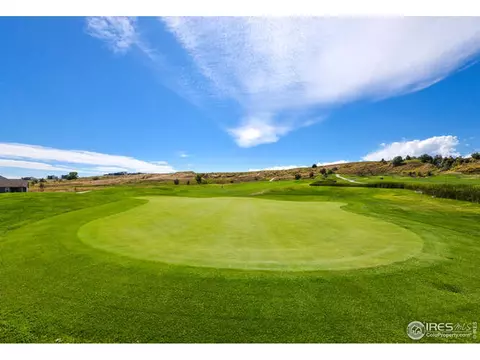 206 Pelican Cv, Windsor, CO 80550 photo 36