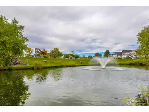 206 Pelican Cv, Windsor, CO 80550 photo 34