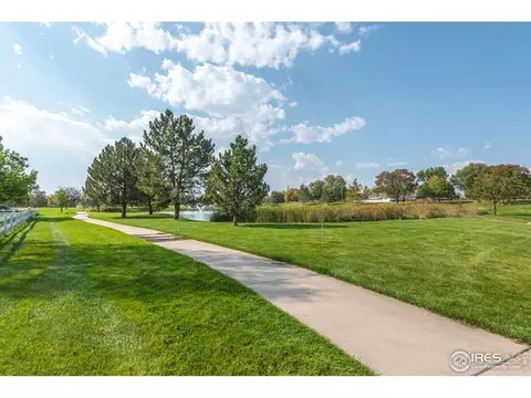 206 Pelican Cv, Windsor, CO 80550 photo 33