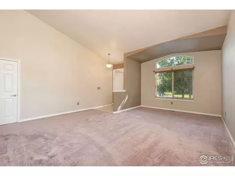206 Pelican Cv, Windsor, CO 80550 photo 11