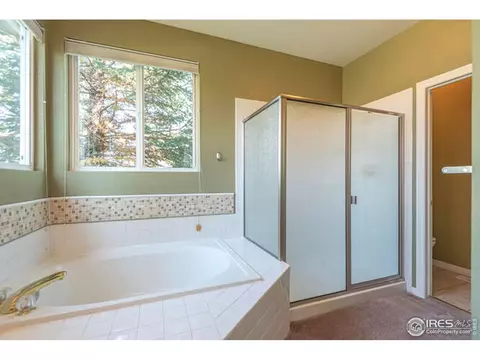 206 Pelican Cv, Windsor, CO 80550 photo 17