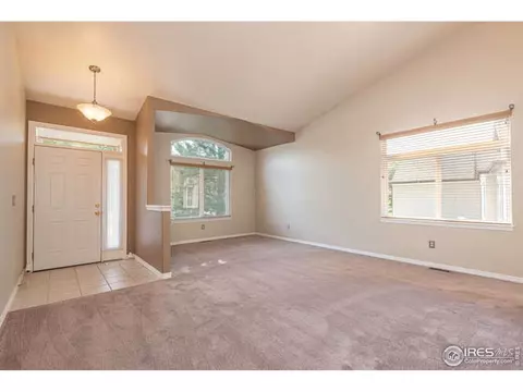 206 Pelican Cv, Windsor, CO 80550 photo 10
