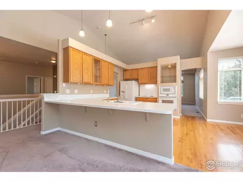 206 Pelican Cv, Windsor, CO 80550 photo 6