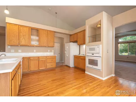 206 Pelican Cv, Windsor, CO 80550 photo 5