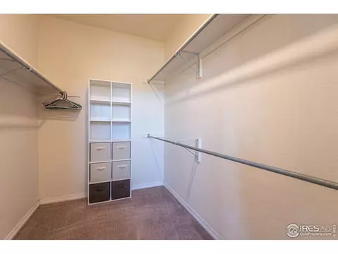 206 Pelican Cv, Windsor, CO 80550 photo 19