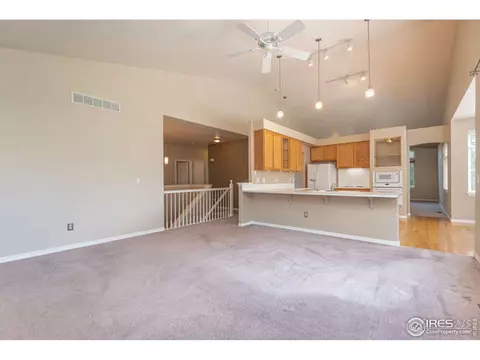 206 Pelican Cv, Windsor, CO 80550 photo 9