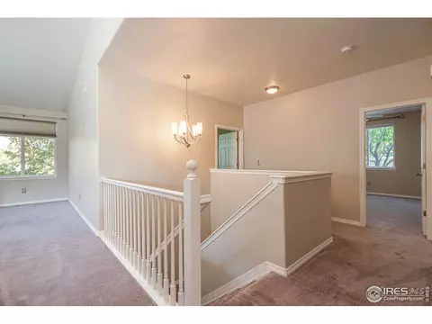 206 Pelican Cv, Windsor, CO 80550 photo 15