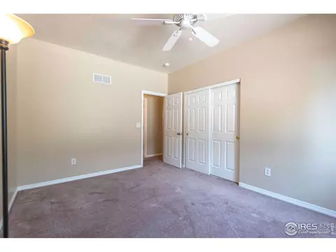 206 Pelican Cv, Windsor, CO 80550 photo 20