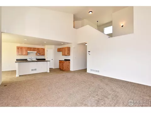 954 Mouflon Dr, Severance, CO 80550 photo 4