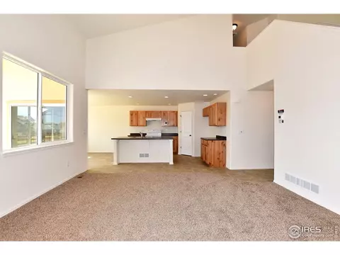954 Mouflon Dr, Severance, CO 80550 photo 3