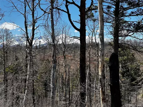 322 Brophy Dr, Fort Garland, CO 81133