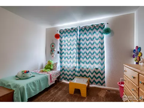 261 Pinebrook Ct, Windsor, CO 80550 photo 15