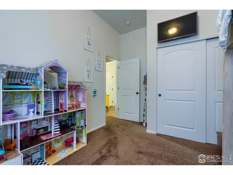 261 Pinebrook Ct, Windsor, CO 80550 photo 13