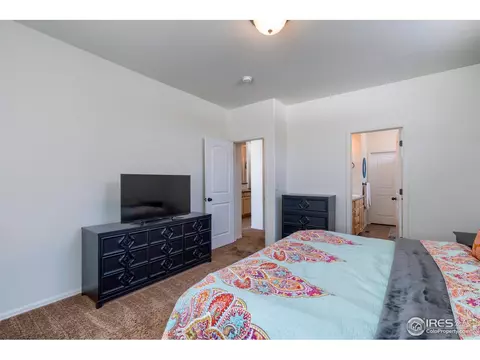 261 Pinebrook Ct, Windsor, CO 80550 photo 19