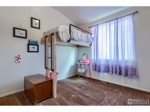 261 Pinebrook Ct, Windsor, CO 80550 photo 12