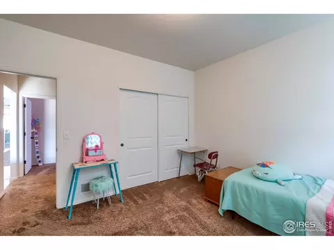 261 Pinebrook Ct, Windsor, CO 80550 photo 14