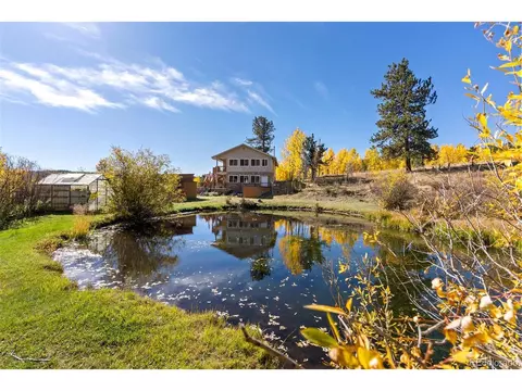257 Elk Creek Dr, Bailey, CO 80421 photo 36