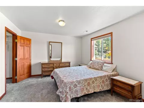 257 Elk Creek Dr, Bailey, CO 80421 photo 16