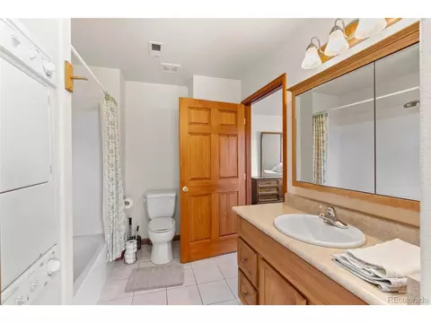 257 Elk Creek Dr, Bailey, CO 80421 photo 19