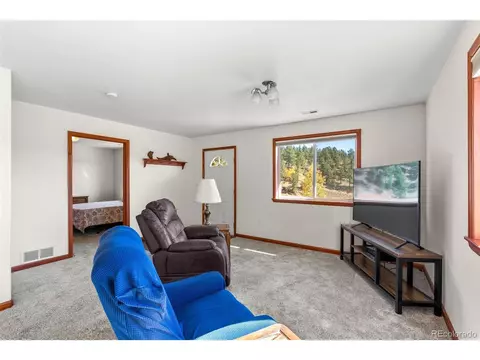 257 Elk Creek Dr, Bailey, CO 80421 photo 6