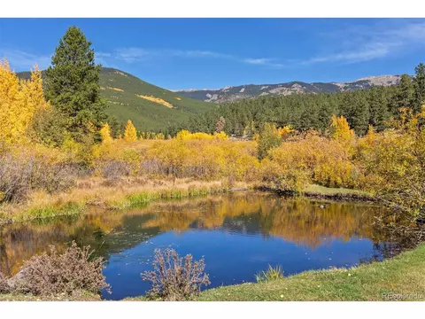 257 Elk Creek Dr, Bailey, CO 80421 photo 33