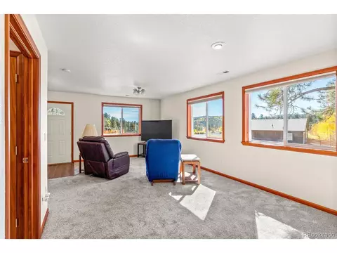257 Elk Creek Dr, Bailey, CO 80421 photo 9
