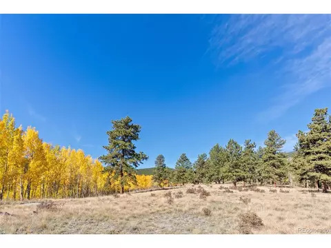 257 Elk Creek Dr, Bailey, CO 80421 photo 39