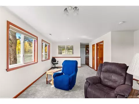 257 Elk Creek Dr, Bailey, CO 80421 photo 7
