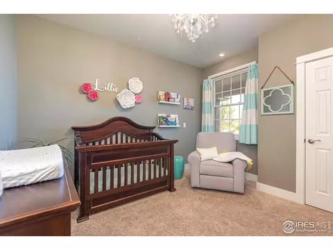 598 15th St, Windsor, CO 80550 photo 24