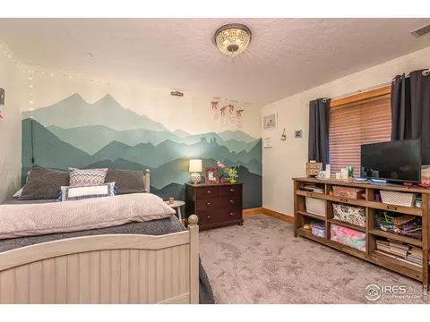598 15th St, Windsor, CO 80550 photo 31